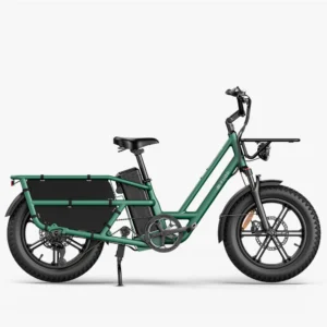 Xe đạp điện đuôi dài Fiido T2